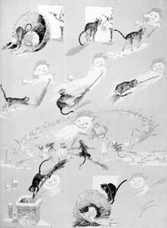Chats, le chat gris et le sorcier blanc par Steinlen