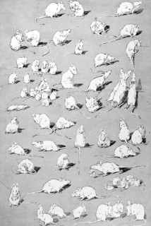 Souris blanches par Steinlen