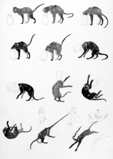Chats, le chat à deux queues par Steinlen