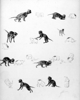 Chats, histoire navrante d'un chat et d'un petit cochon d'inde par Steinlen