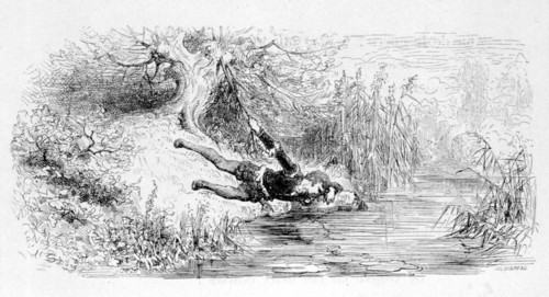 L'Homme et son image, fable de La Fontaine, illustration de Gustave Doré