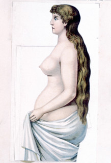 Corps humain, la femme, représentation de la fin du XIXe siècle