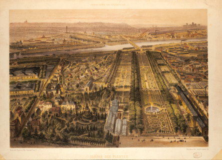 Benoist, Le Jardin des Plantes