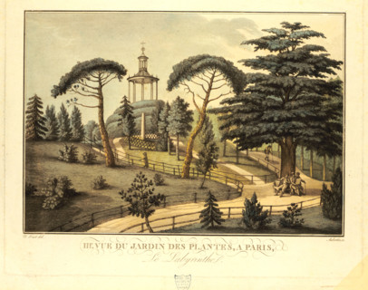 Le labyrinthe du jardin des plantes