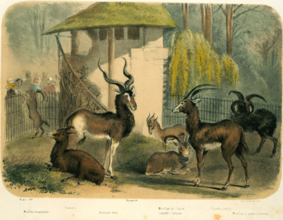 Jardin des Plantes, Swiss Valley