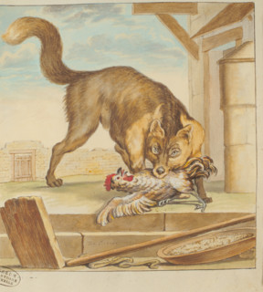 Renard, drawing by Seve