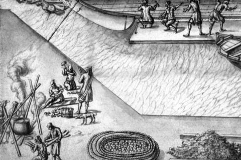 Geometric description of all of the parts included in the construction of a galley, engraving by Debenat