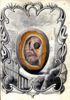 Charles-Alexandre LORRAINE, Incubator