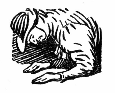 Fernand Fau, Rabelais : "Pantagruel"