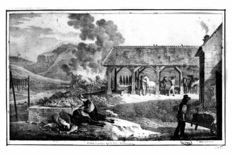 Paris, the Montfaucon slaughterhouses