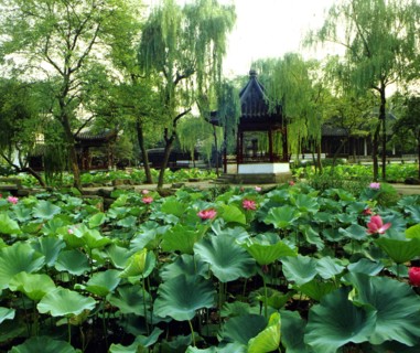 Jardin de Suzhou, province de Jiangsu, Chine