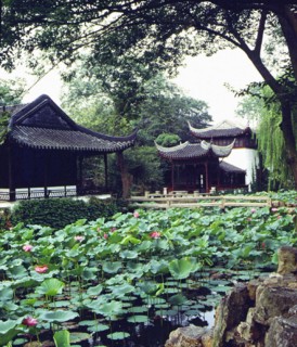 Jardin de Suzhou, province de Jiangsu, Chine