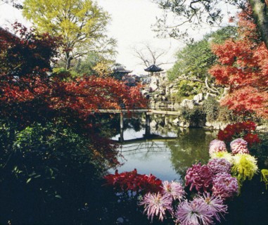 Jardin de Suzhou, province de Jiangsu, Chine