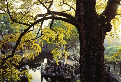 Jardin de Suzhou, province de Jiangsu, Chine