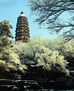 Jardin de Suzhou, province de Jiangsu, Chine