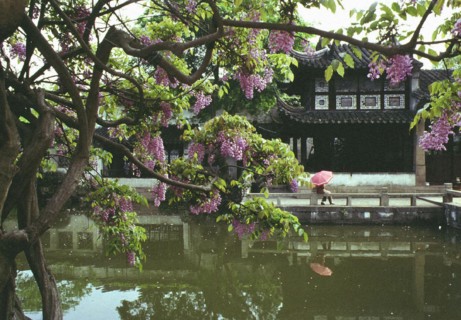 Jardin de Suzhou, province de Jiangsu, Chine