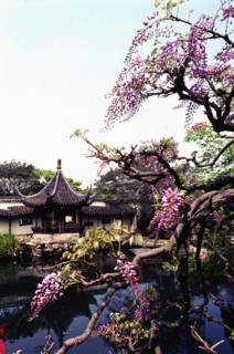 Jardin de Suzhou, province de Jiangsu, Chine