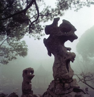 Jardin de Suzhou, province de Jiangsu, Chine