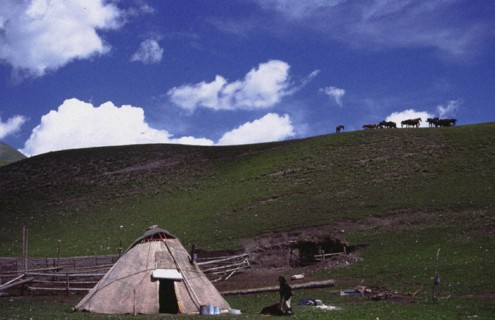 Prairie, yurt, Ili area