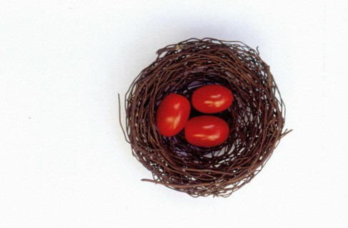 eggs