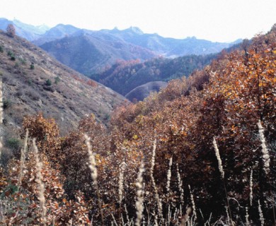 La Grande Muraille à Jinshanling, Chengde