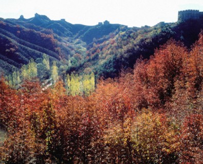 La Grande Muraille à Jinshanling, Chengde