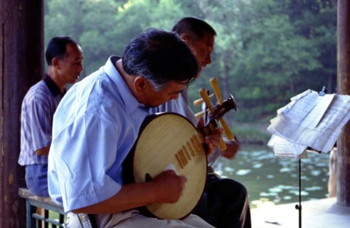 Joueur d'instrument à cordes