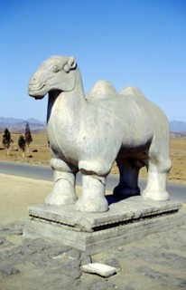 Tombeaux de l'Est des Qing, sculpture sur pierre sur le Chemin de l'Esprit