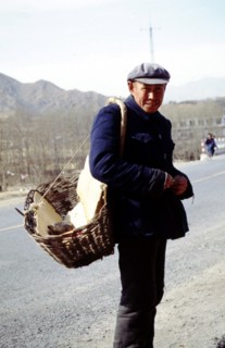 Un paysan sur la route