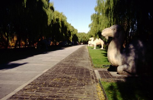 Tombeaux des Ming, les 13 mausolées Ming, les tombeaux de la dynastie Ming, Chemin de l'Esprit