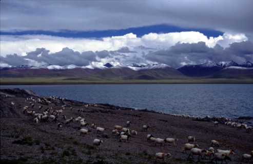 Lac sacré de Nam Co