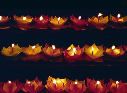 Lanternes lotus