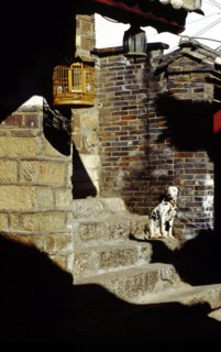 Chien et cage à oiseaux devant une maison, vieille ville de Lijiang