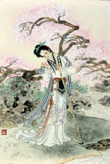 Illustration pour le célèbre roman chinois : "Rêve dans le Pavillon Rouge"