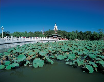 Pagode blanche ( le Dagoba blanc), le Parc de Beihai, ville de Pékin, Chine