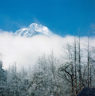 Glacier Hailuogou, province du Sichuan, Chine