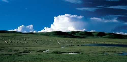 Prairies dans la province du Hebei, Chine