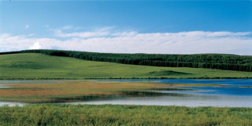 Prairies, Chine