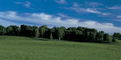 Paysage de prairie, Chine