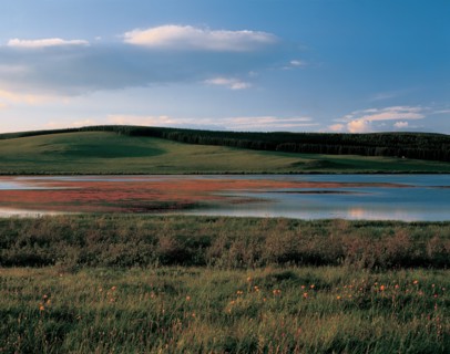 Paysage de prairie, Chine