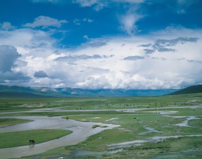 Paysage de prairie, Chine