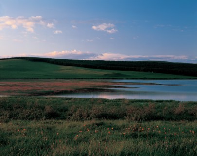 Paysage de prairie, Chine