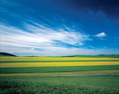 Paysage de prairie, Chine