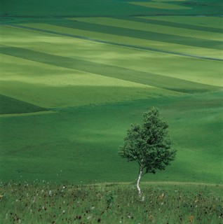 Paysage de prairie, Chine