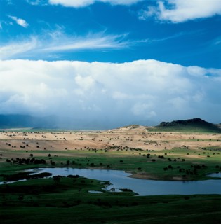 Pâturages, Chine