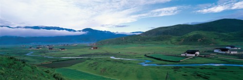 Prairie dans la ville de Shangri-la, le comté de Zhongdian, Province du Yunnan, Chine.
