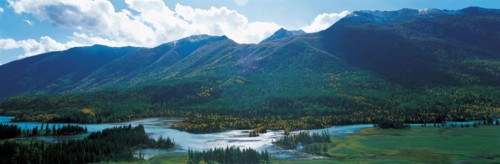 Prairie Zhongdian, Shangri-la, province du Yunnan, Chine