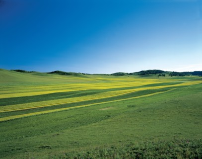 Prairie, province du Hebei, Chine