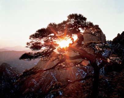 Mont Huang, Chine