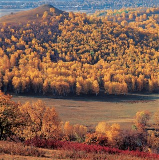 Bashang, province du Hebei, Chine